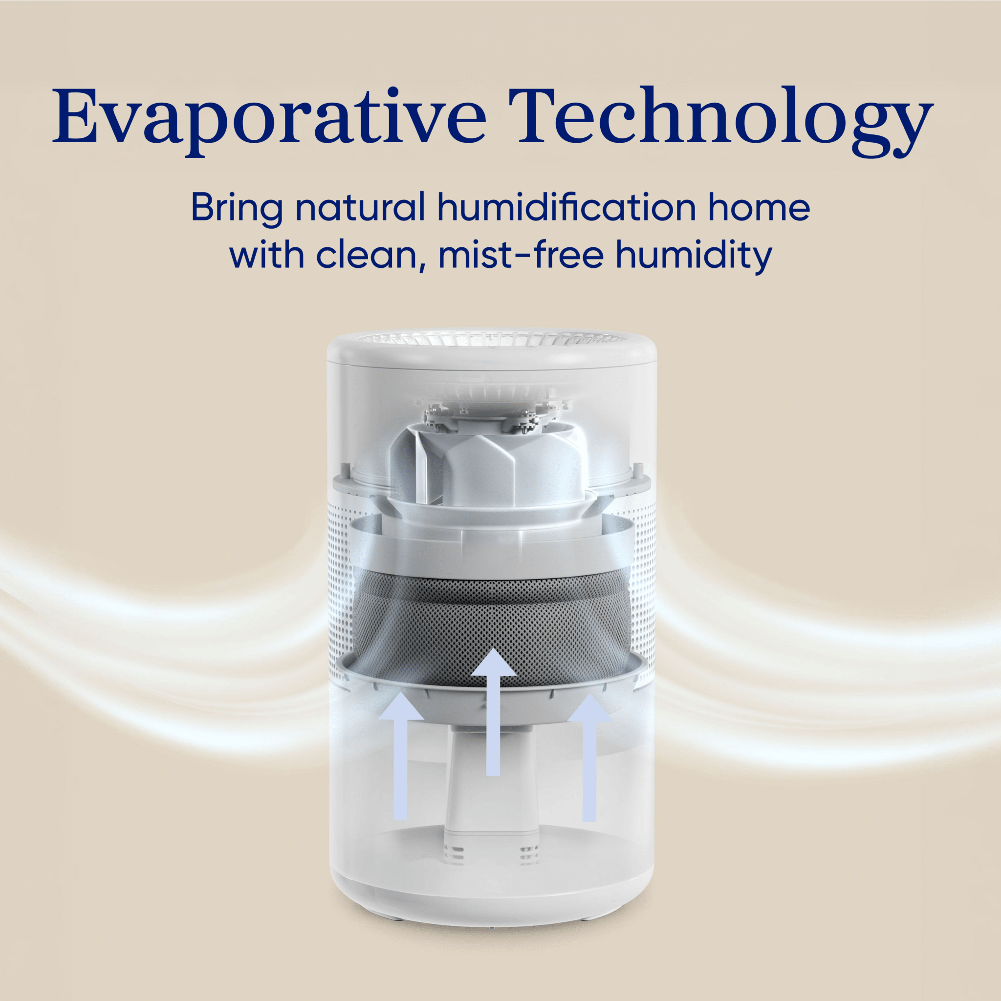 Levoit Superior™ Studio Smart Evaporative Humidifier - Image 2